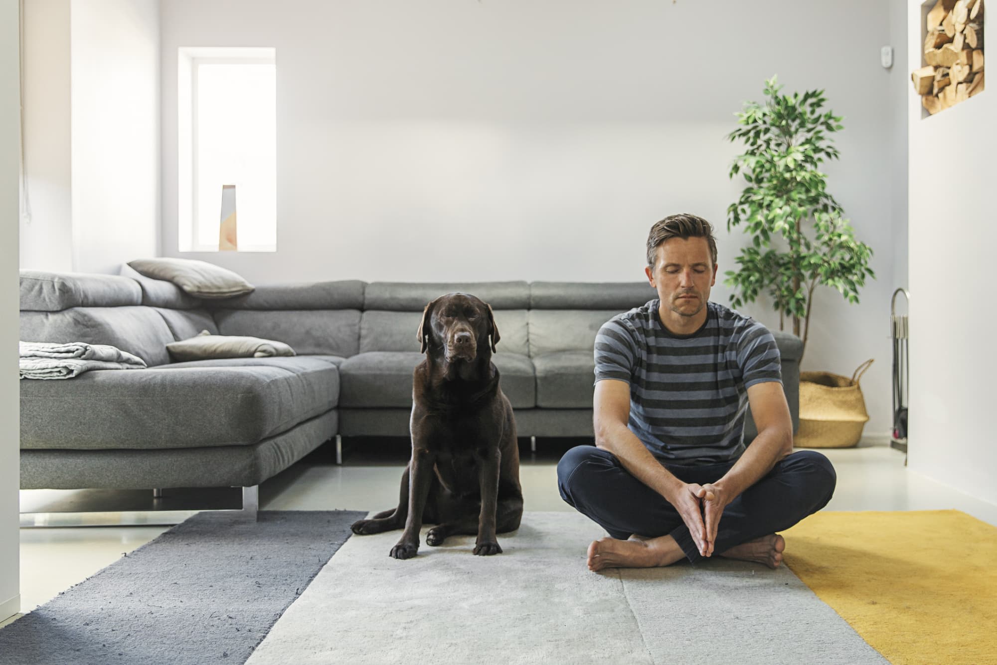Best Meditation and Relaxation Techniques to Reduce Stress